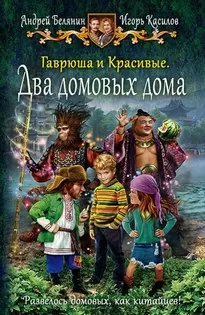 Два домовых дома - Андрей Белянин, Игорь Касилов