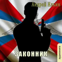 Законник - Андрей Ильин