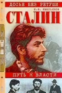 Сталин. Путь к власти - Юрий Емельянов