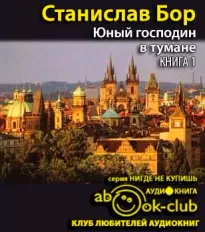 Юный господин в тумане. Книга 1 - Станислав Бор