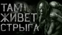 Там живет Стрыга -  SMS