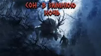 Сон в зимнюю ночь -  Runny