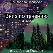 Вниз по течению. Книга 1 - Елизавета Сагирова