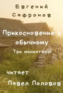 Прикосновение к обычному. Три миниатюры - Евгений Сафронов