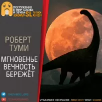 Мгновенье вечность бережёт - Роберт Туми