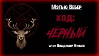 Код: чёрный - Мэтью Вебер