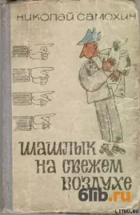 Шашлык на свежем воздухе - Николай Самохин