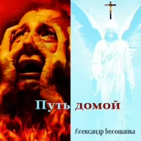 Путь домой. Книга 1. Путь домой. - Александр Белошапка, Наталья Белошапка