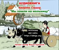 Мы пошли на мельницу - Сардар Амарике