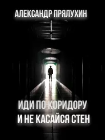 Иди по коридору и не касайся стен - Александр Прялухин