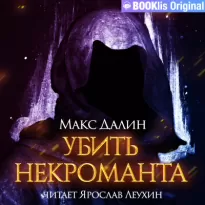 Убить некроманта - Макс Далин