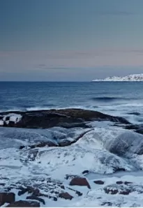 Однажды у Холодного моря. Сказки