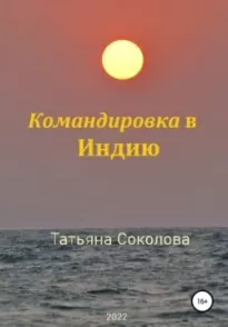 Командировка в Индию - Татьяна Соколова