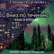 Вниз по течению. Книга 2 - Елизавета Сагирова